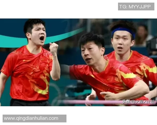 2013年马龙与樊振东激战乒乓球赛的精彩瞬间与技术分析