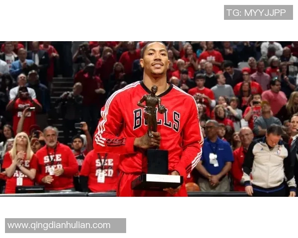 特里罗齐尔在NBA赛场的崛起与挑战分析