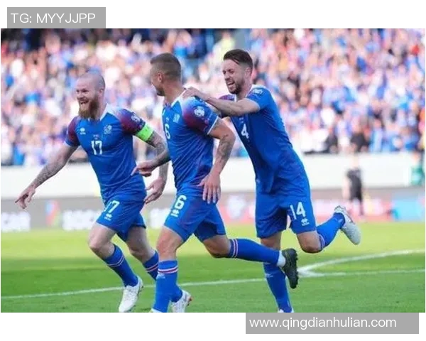 北爱尔兰与匈牙利足球对决全面分析及战术解析